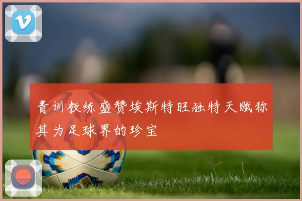 青训教练盛赞埃斯特旺独特天赋称其为足球界的珍宝