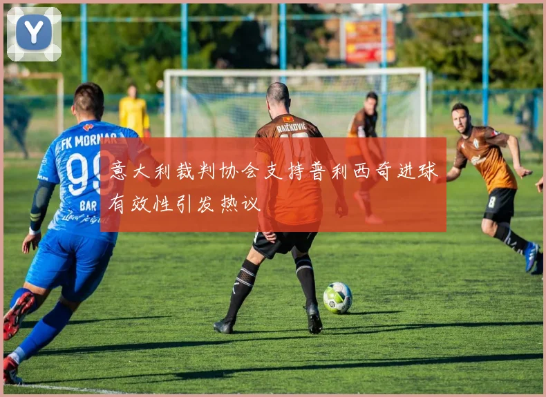意大利裁判协会支持普利西奇进球有效性引发热议